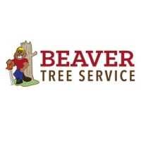 Beaver Tree Service Logo