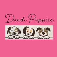 Dandi Puppies - CLOSED Logo