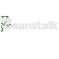 Beanstalk Web Solutions Logo