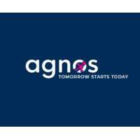 Agnos, Inc. - Custom Software Development Logo