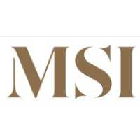 MSI Tampa Bay Logo