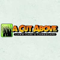 A Cut Above Lawn Care And Landscape Inc Logo