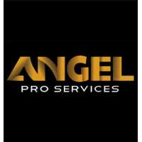 Angel Pro Services Logo