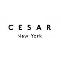 Cesar NYC Kitchens Logo