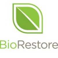 BioRestore Logo
