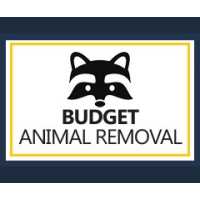 Budget Animal Removal Logo