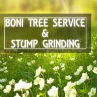 Boni Tree Service & Stump Grinding Logo