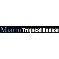 Tropical Bonsai Logo