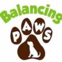 Balancing Paws Dog Training Logo