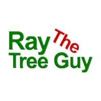 Ray The Tree Guy Logo