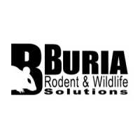 Buria Rodent and Wildlife Solutions, LLC Logo