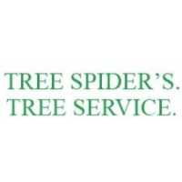 Tree Spider's. Tree Service. Logo