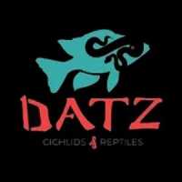 Datz Cichlids & Reptiles Logo