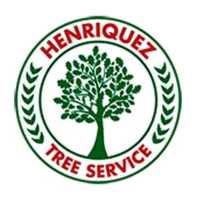 Henriquez Tree Service Logo