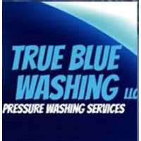 True Blue Washing LLC Logo