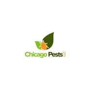 Chicago Pests, LLC Logo