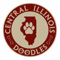 Central Illinois Doodles (Goldendoodles & Bernedoodles) Logo