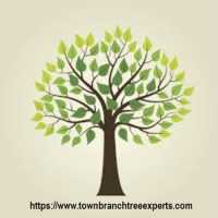 Town Branch Tree Experts, Inc. Logo