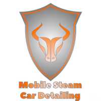 Mobile Steam Car Detailing Logo