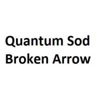 Quantum Sod Logo