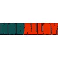 Noballoy Logo