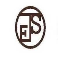 Johnson Electric Service Company, LLC Logo