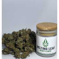 Melting Leaf CBD Spring Logo