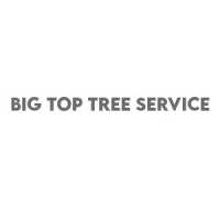 Big Top Tree Service Logo