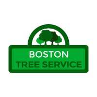Boston Tree Service Logo
