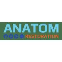 Anatom Restoration - Centennial Logo
