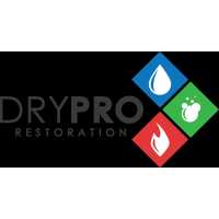 Water Damage & Mold by Drypro Logo