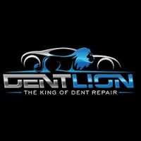 Hail Lions Paintless Dent & Hail Repair Logo