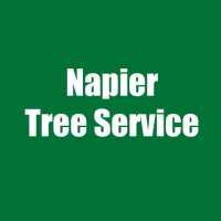 Napier Tree Service Logo