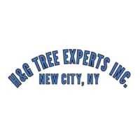 H & G Tree Experts Corp Logo