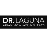 Dr Laguna Logo