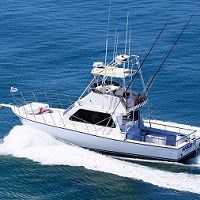Hook'em Up Charters - Charter Fishing Panama City Beach Logo