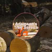 Adamson's Tree Service Logo