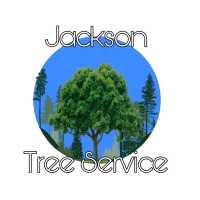 Jackson Tree Expert Company Logo