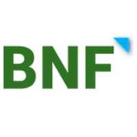 BNF Consulting Inc - Mold Testing Inspection Experts Logo