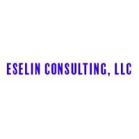 Eselin Consulting, LLC Logo