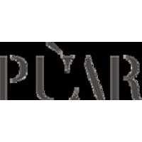 The PUAR - Elevated Beauty Logo