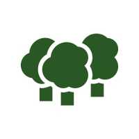 CarbonForest Logo