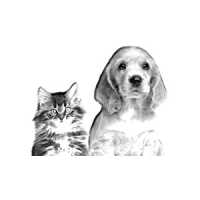 Pawsitive Pet Sitting & Dog Walker Logo