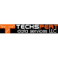 Techspert Data Services, LLC Logo