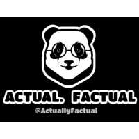 ACTUAL FACTUAL INC Logo