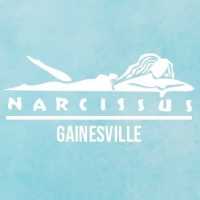 Narcissus Gainesville Logo