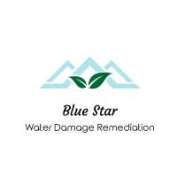 Blue Star Water Damage Remediation and Mold Removal Logo
