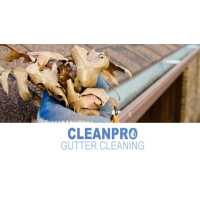 Clean Pro Gutter Cleaning Humble Logo