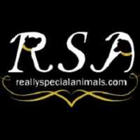 Really Special Animals Logo