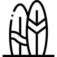 Best Surfing Icons California Logo